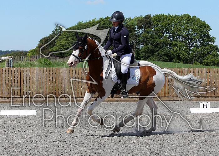 Novice232