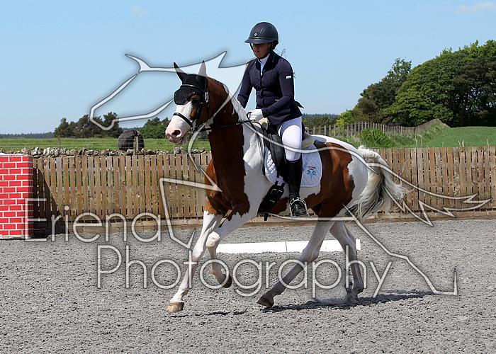 Novice233