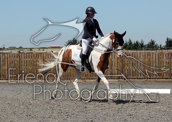 Novice235