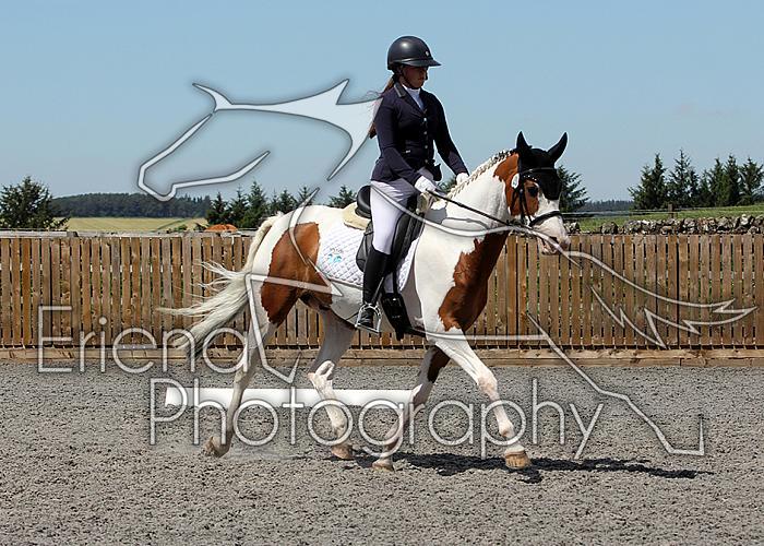 Novice236