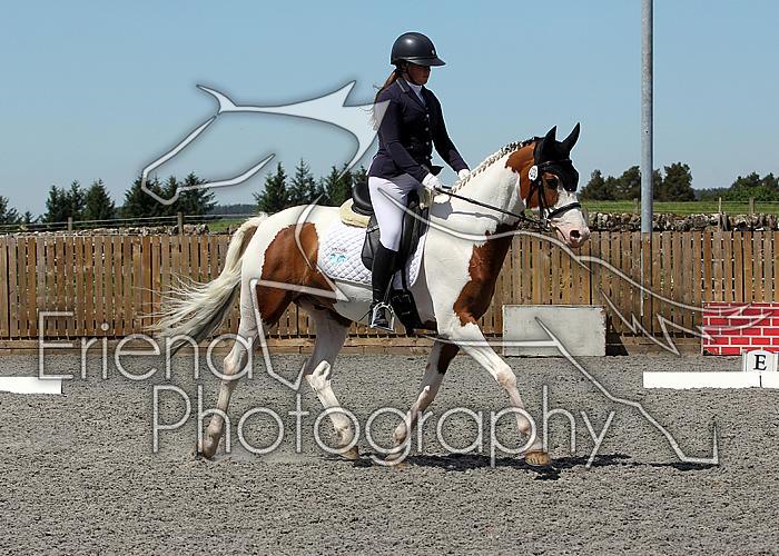 Novice237