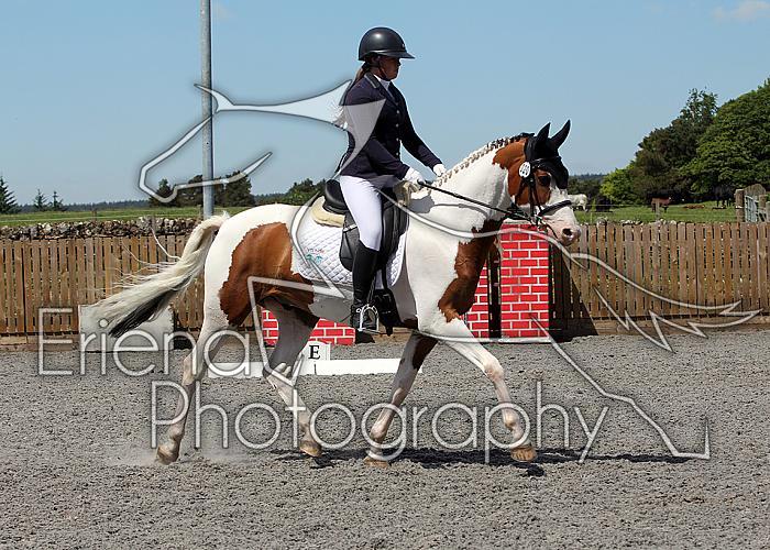Novice238
