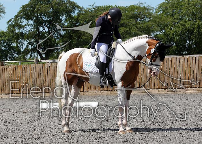 Novice244