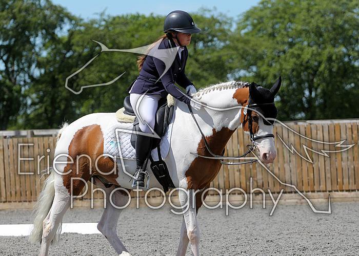 Novice245