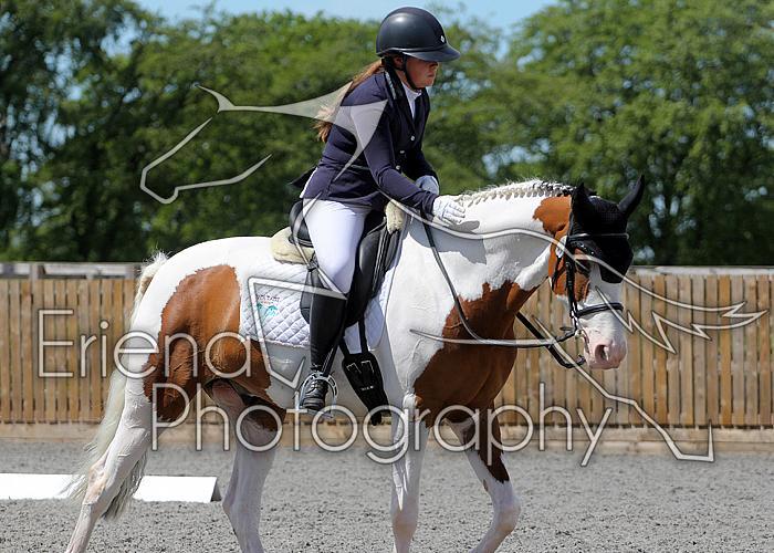 Novice246
