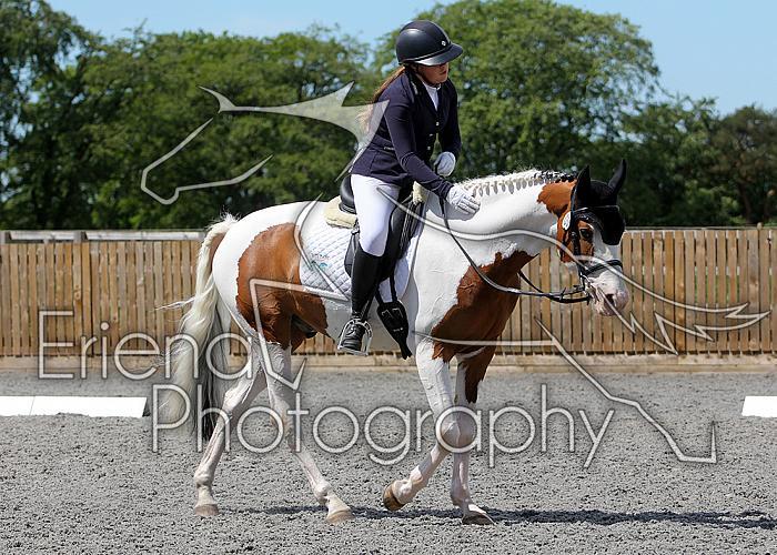 Novice247