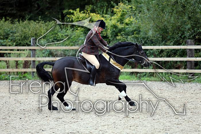 SKSeptRing2R0215