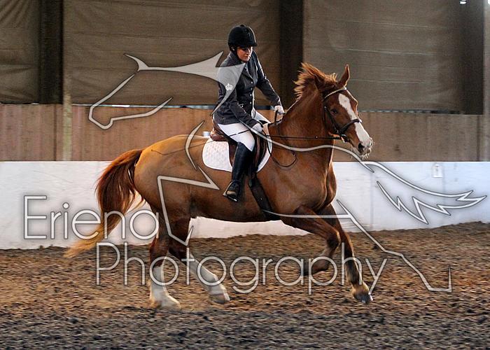 Novice100