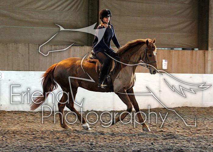 Novice120