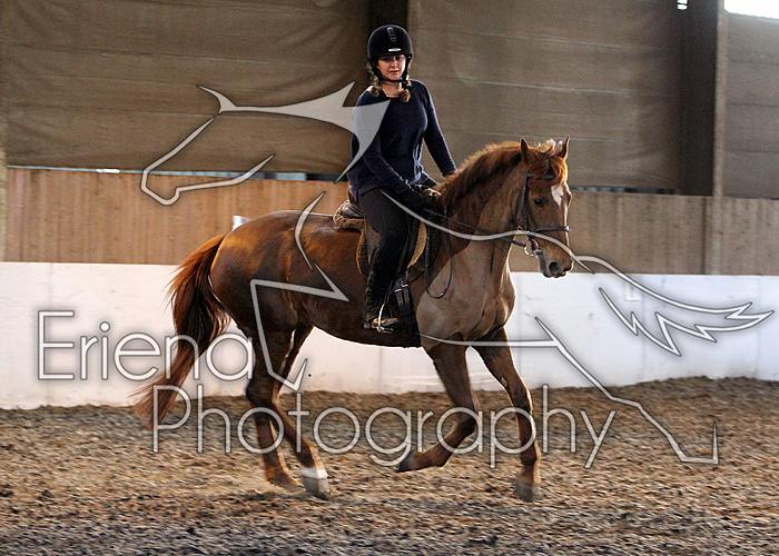 Novice121