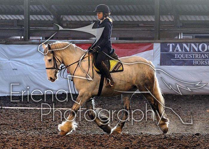 Novice128