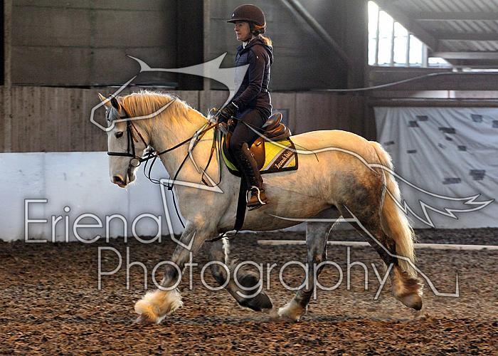 Novice129