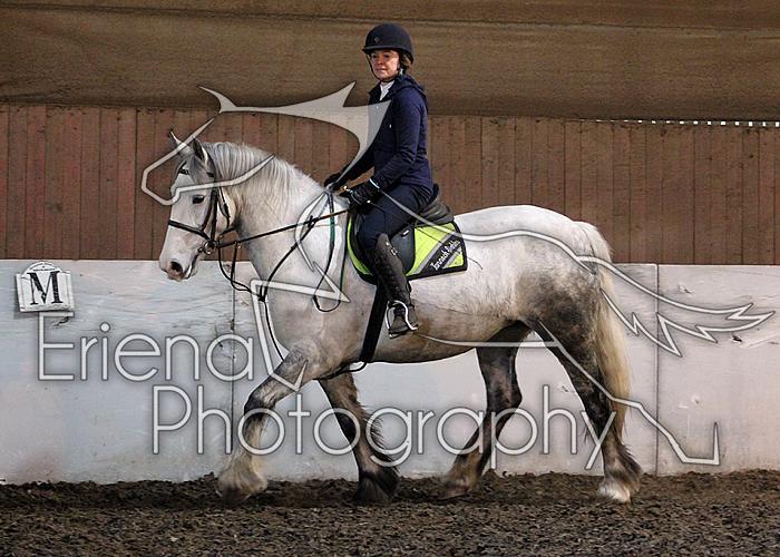 Novice132