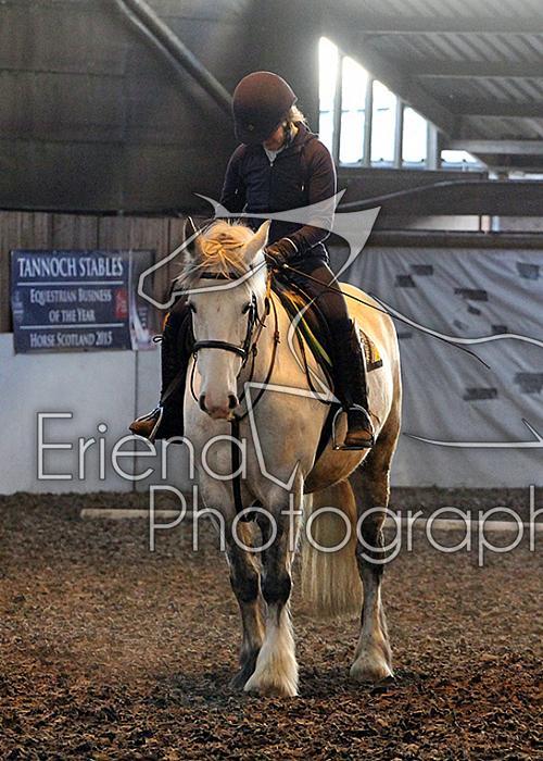 Novice135