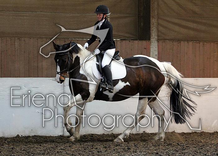 Novice15