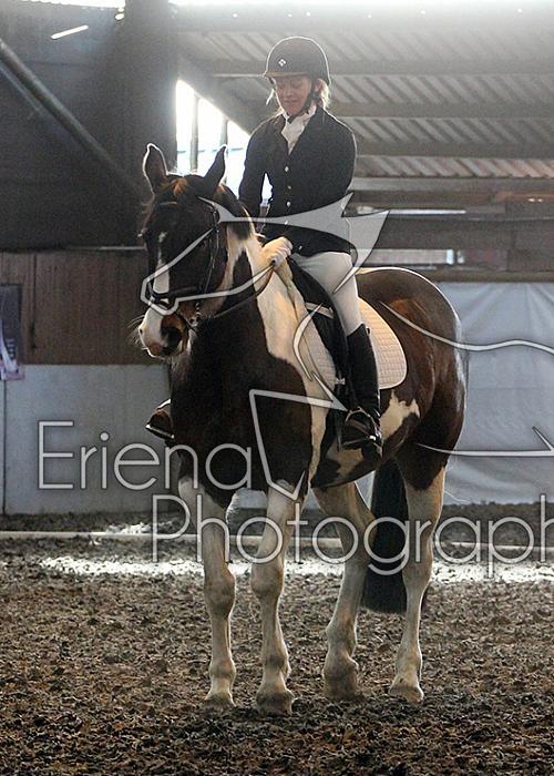 Novice16
