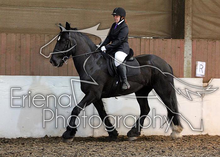 Novice19
