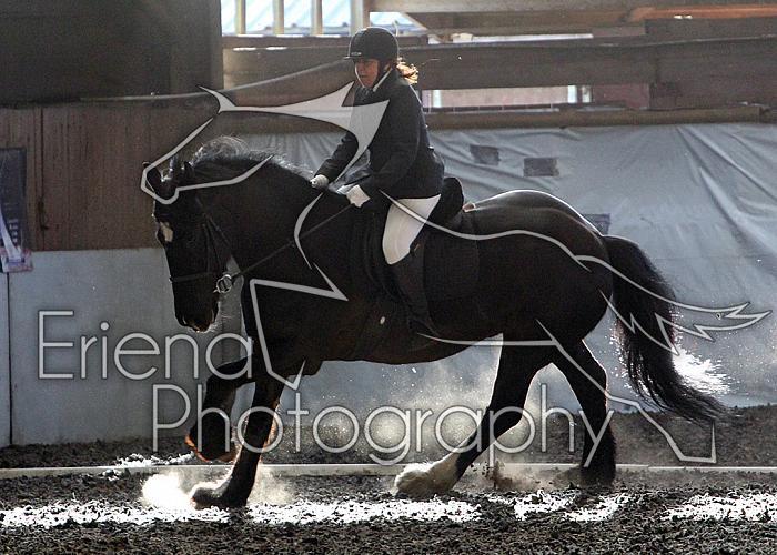 Novice20