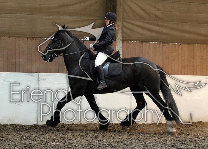 Novice22