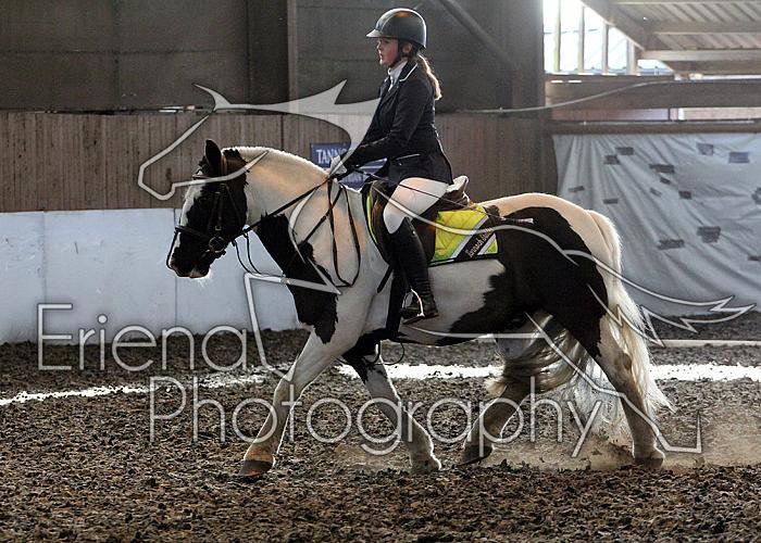 Novice29