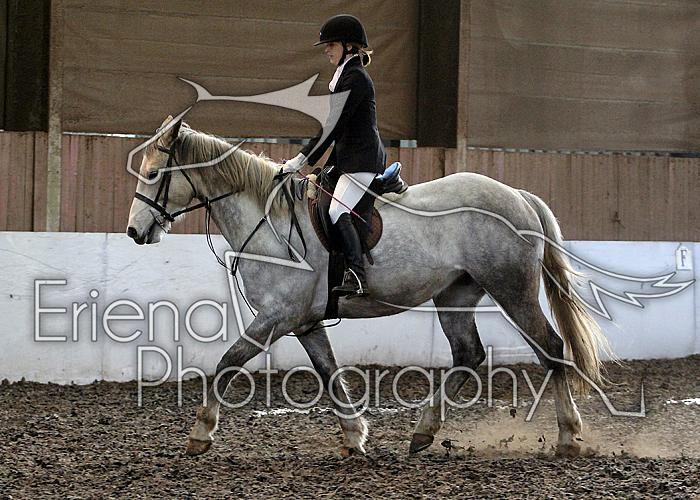 Novice51