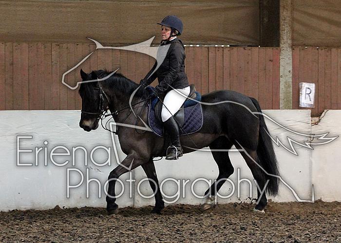 Novice69