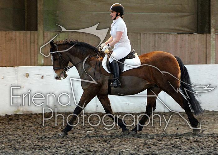 Novice78