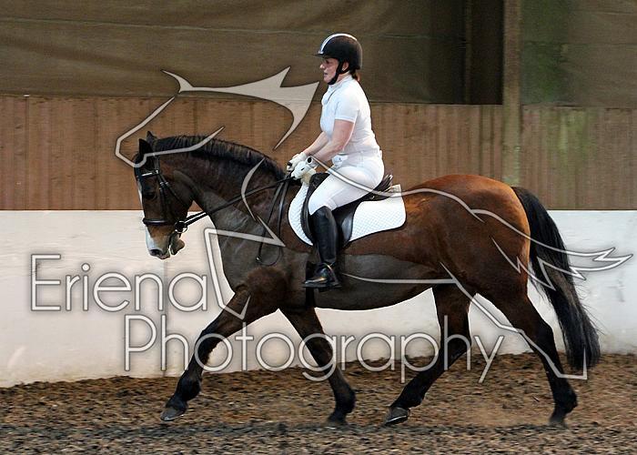 Novice79