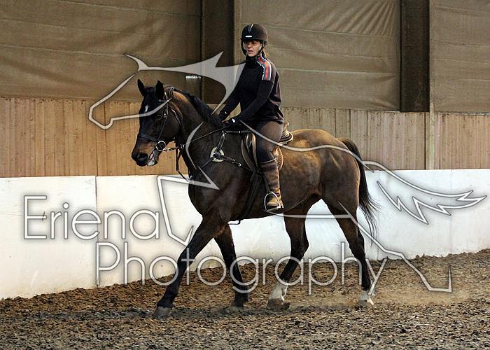 Novice91