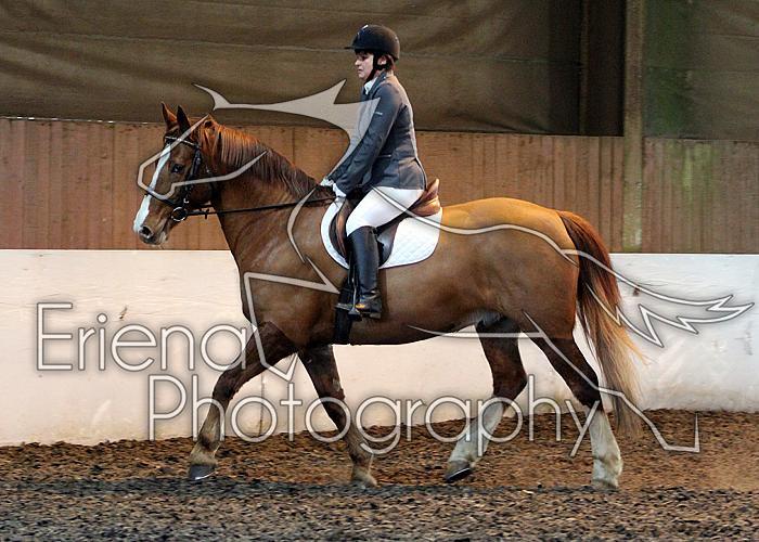 Novice95