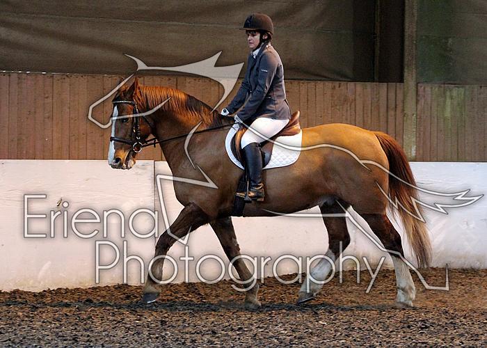 Novice96