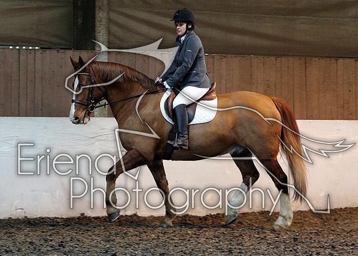 Novice97