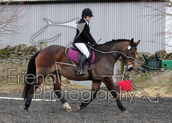 novice031