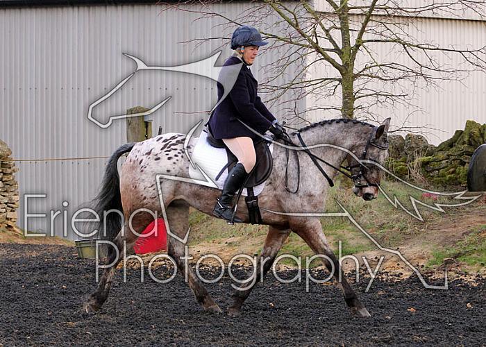 novice036