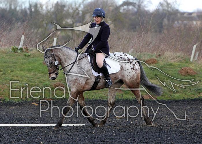 novice037