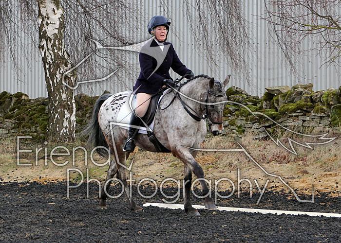 novice039