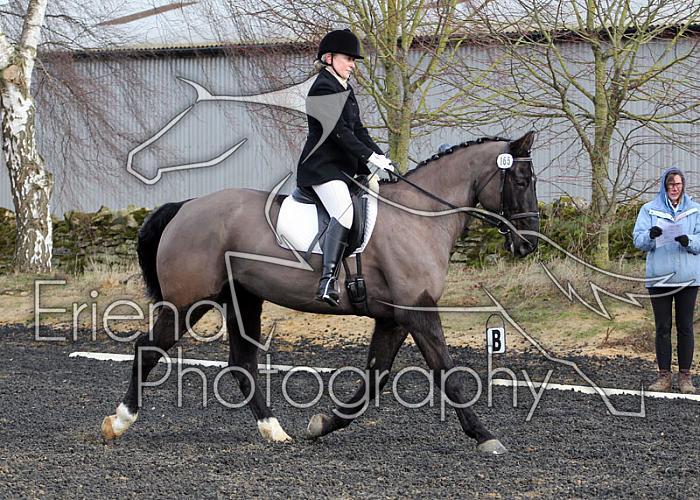 novice041