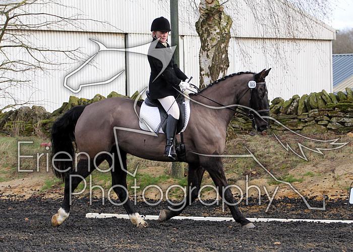 novice042