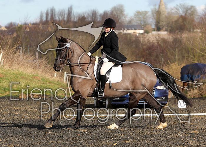 novice043
