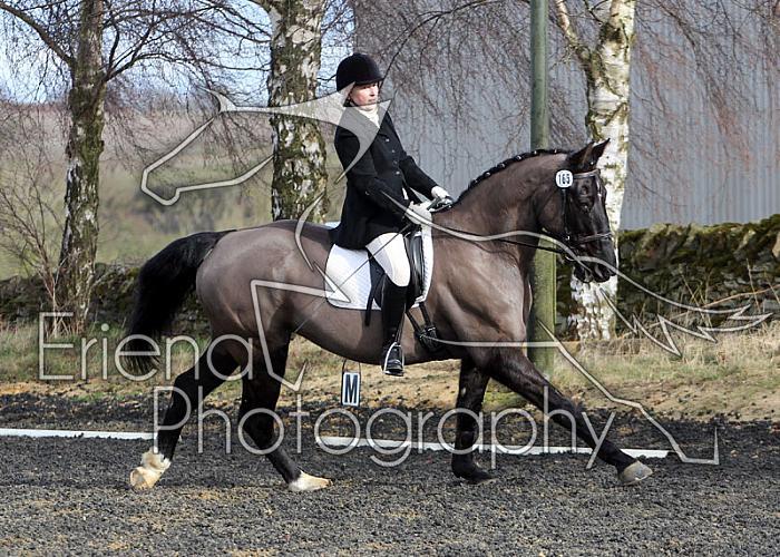 novice046
