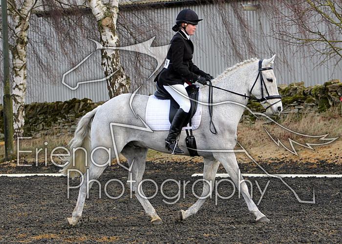 novice047