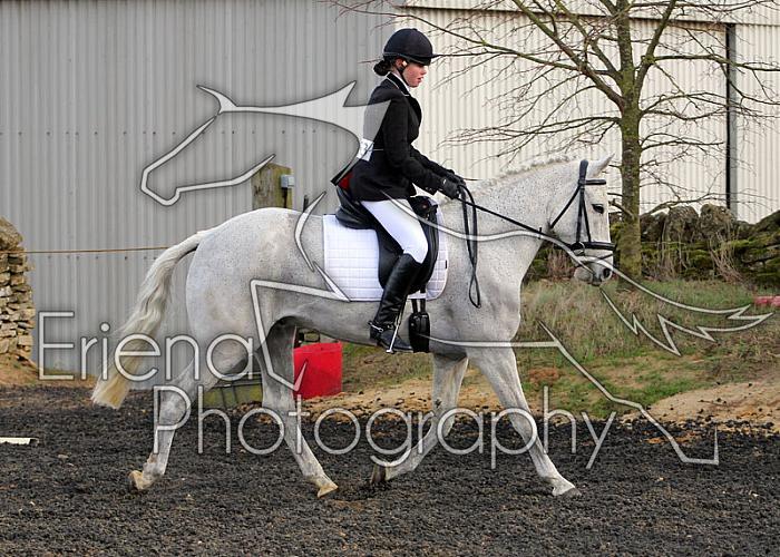 novice049