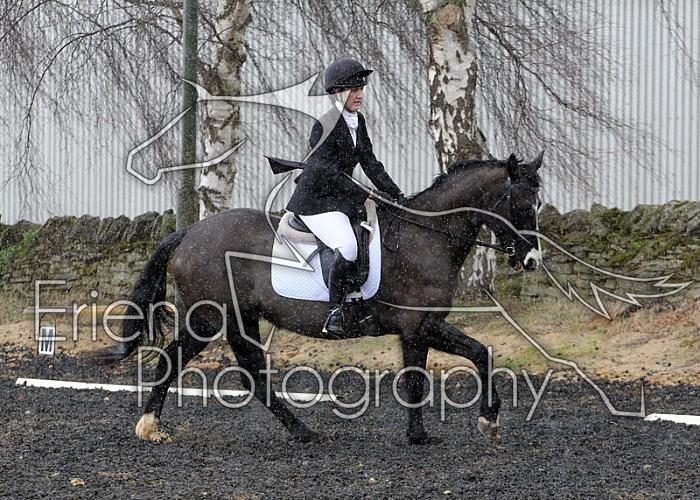 novice061