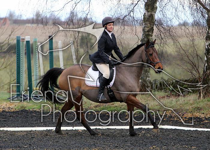 novice066