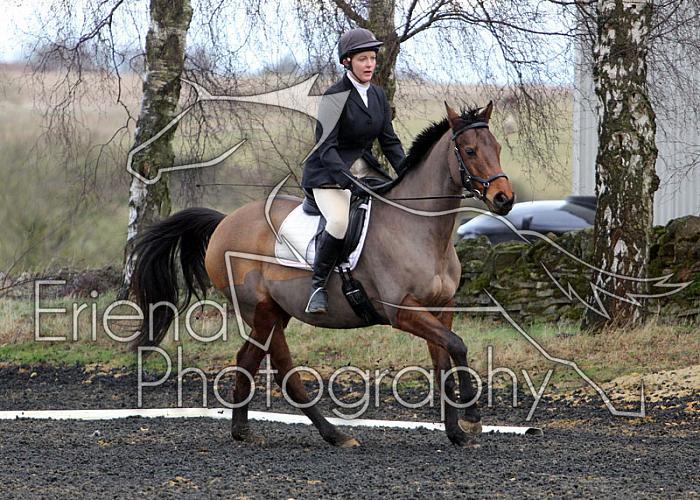 novice067