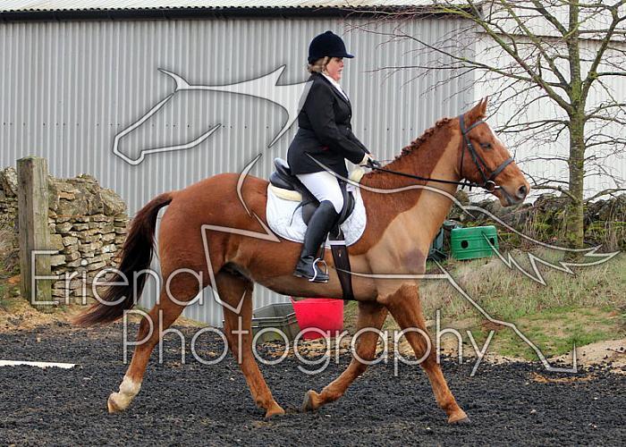 novice069
