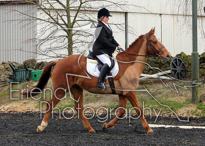 novice070