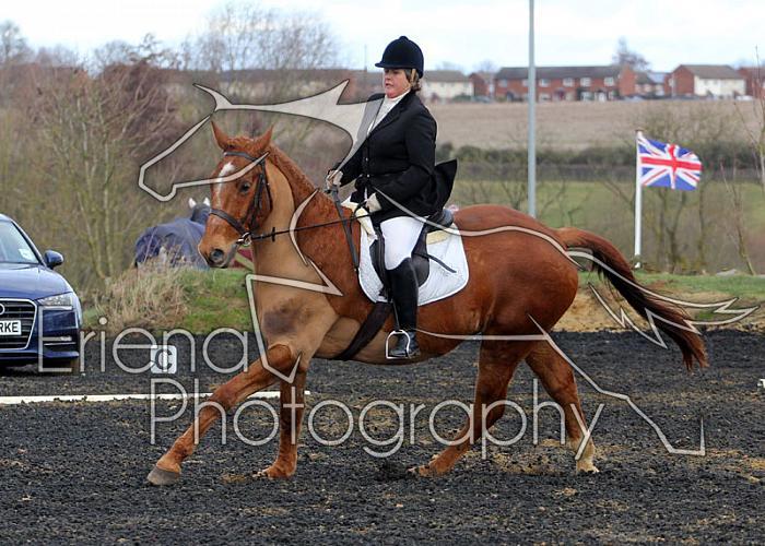 novice075