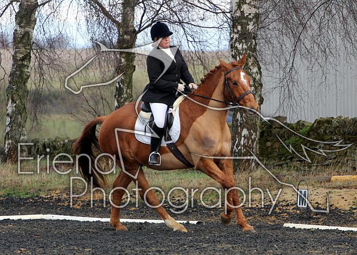 novice076