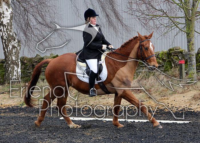 novice077